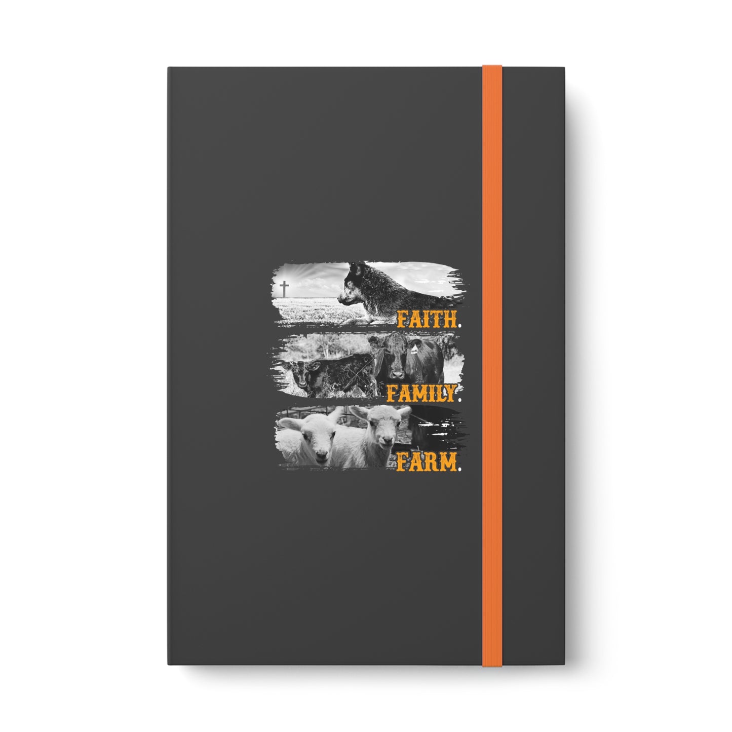 Color Contrast Notebook - Ruled