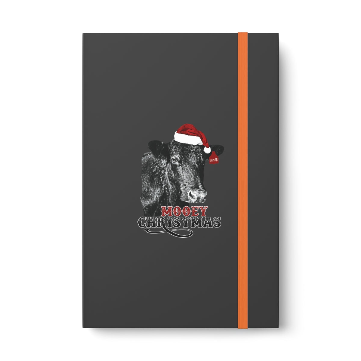 Color Contrast Notebook - Ruled
