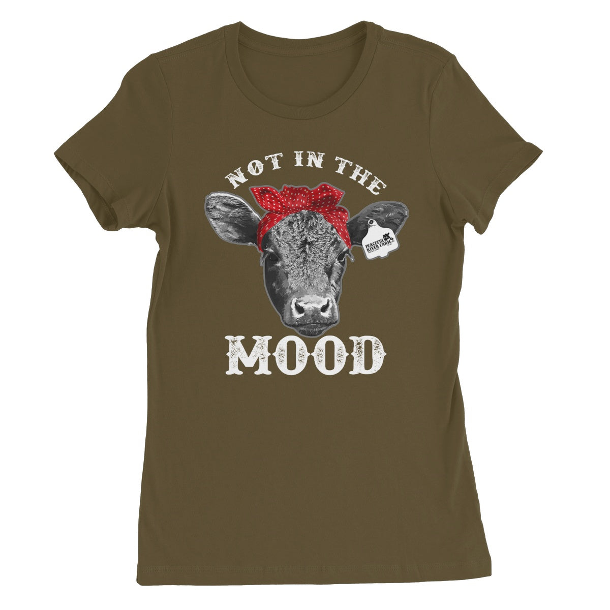 Women's Favourite T-Shirt
