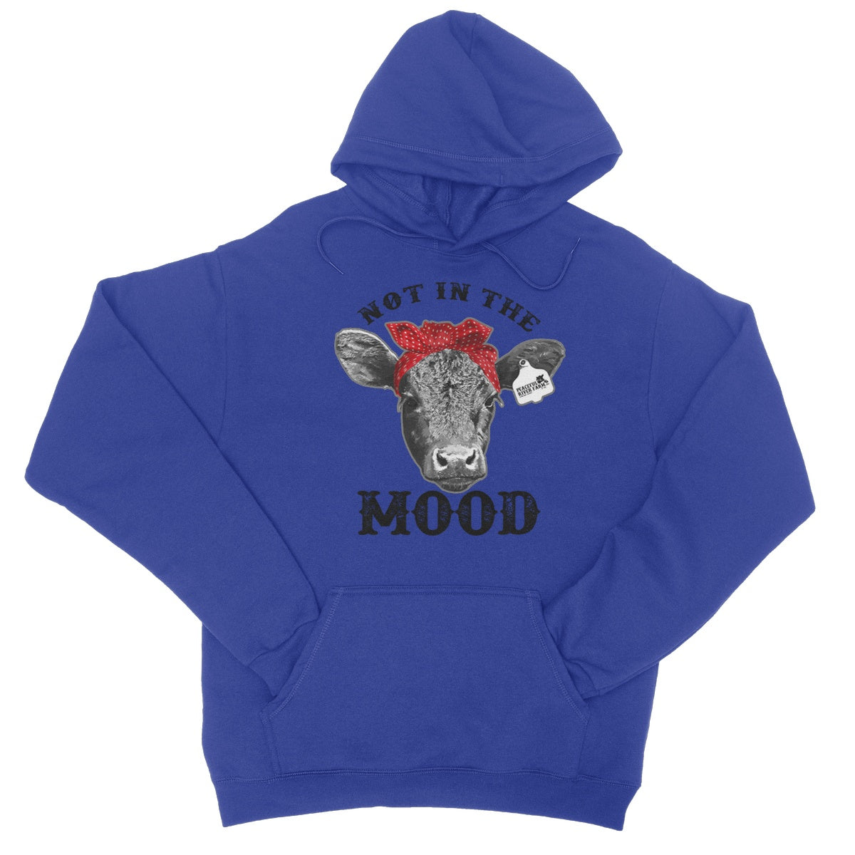 College Hoodie