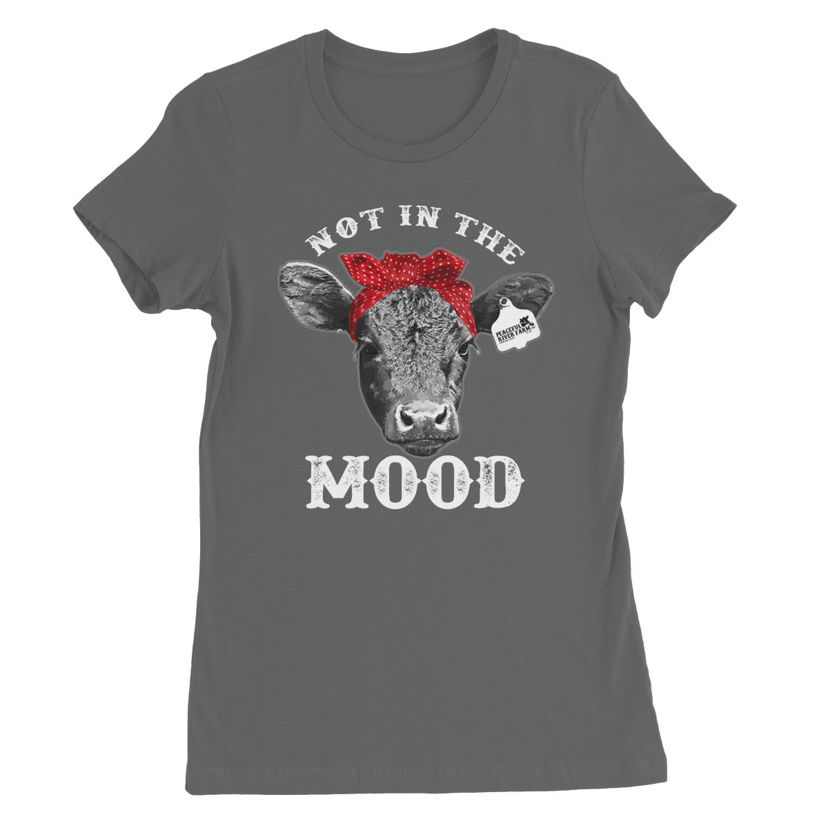 Women's Favourite T-Shirt