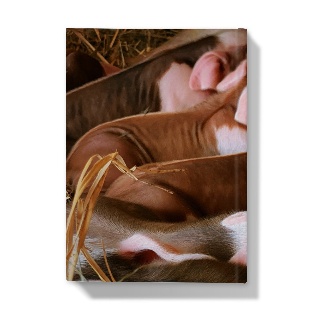 Three Little Pigs Hardback Journal
