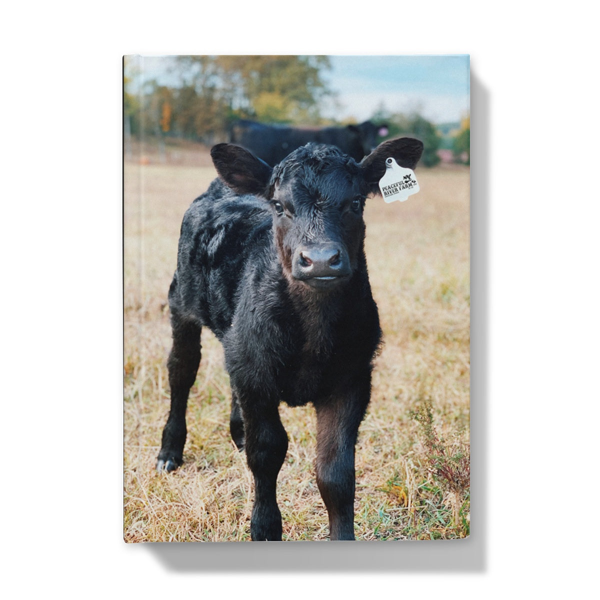 Calf Hardback Journal