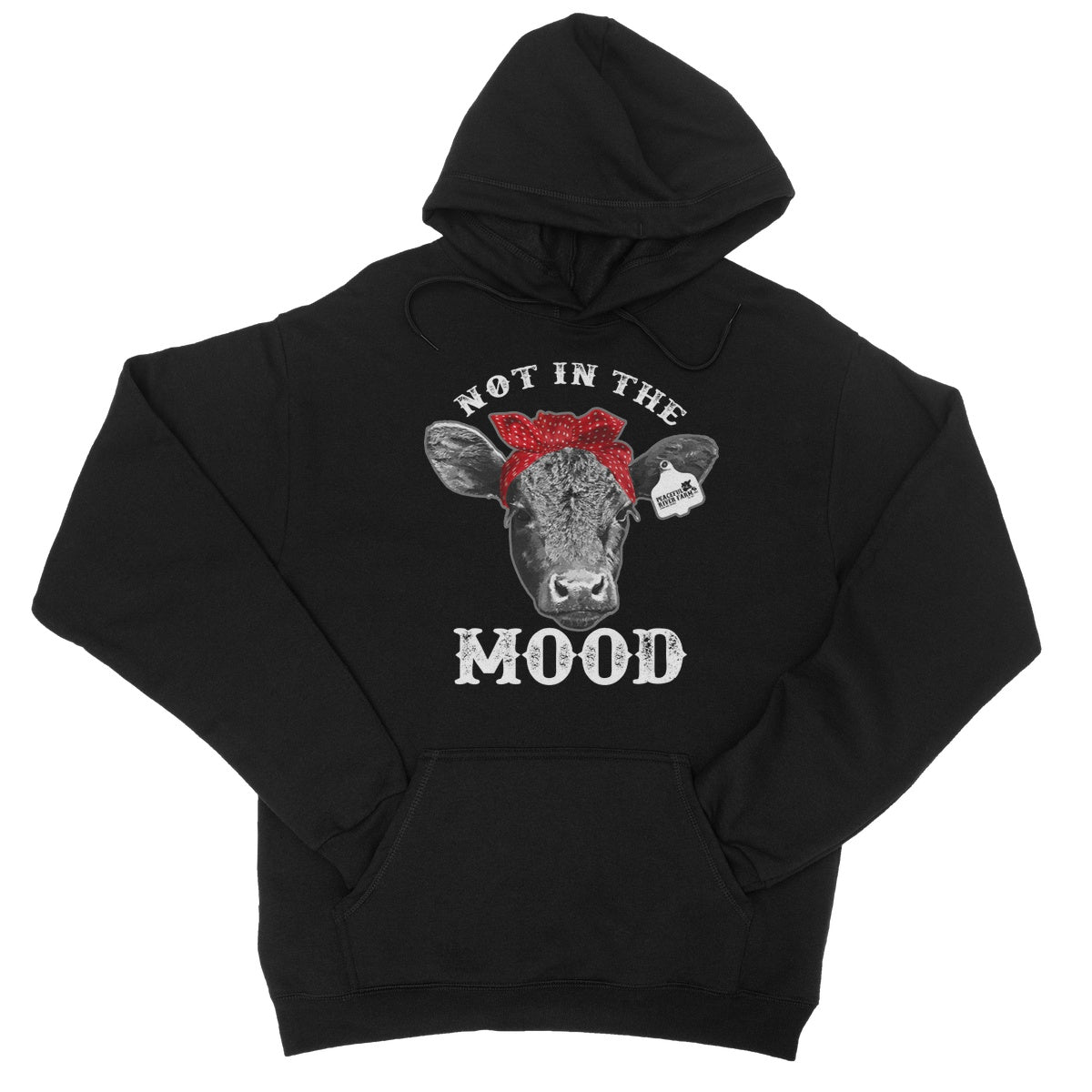 College Hoodie