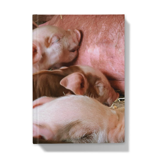 Three Little Pigs Hardback Journal